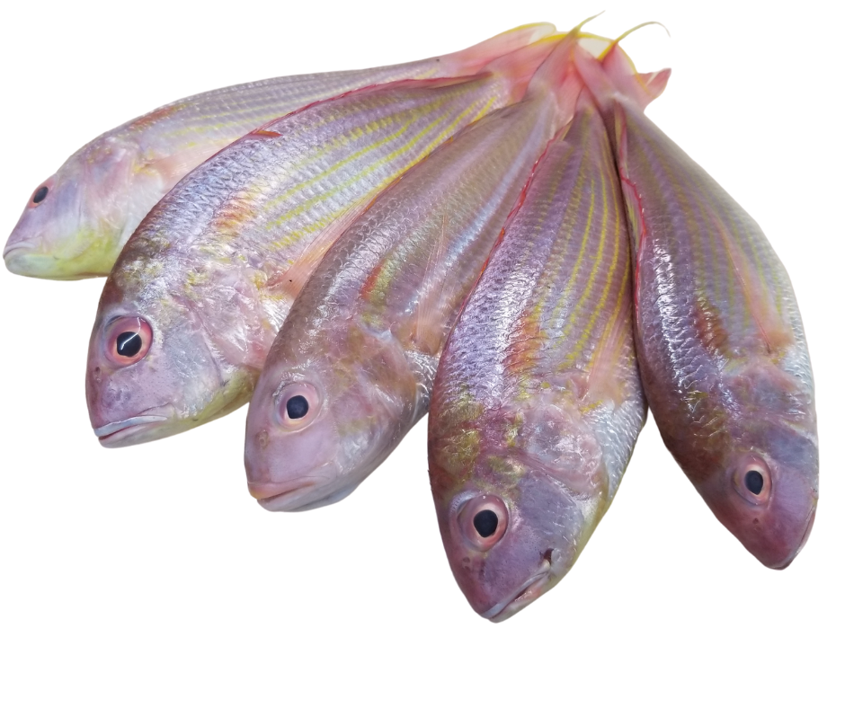 Pink Fish
