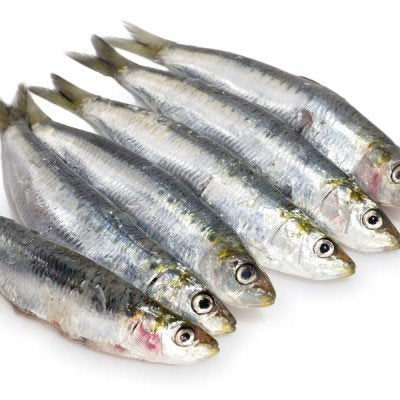 Fresh Sardines (Tuyo)