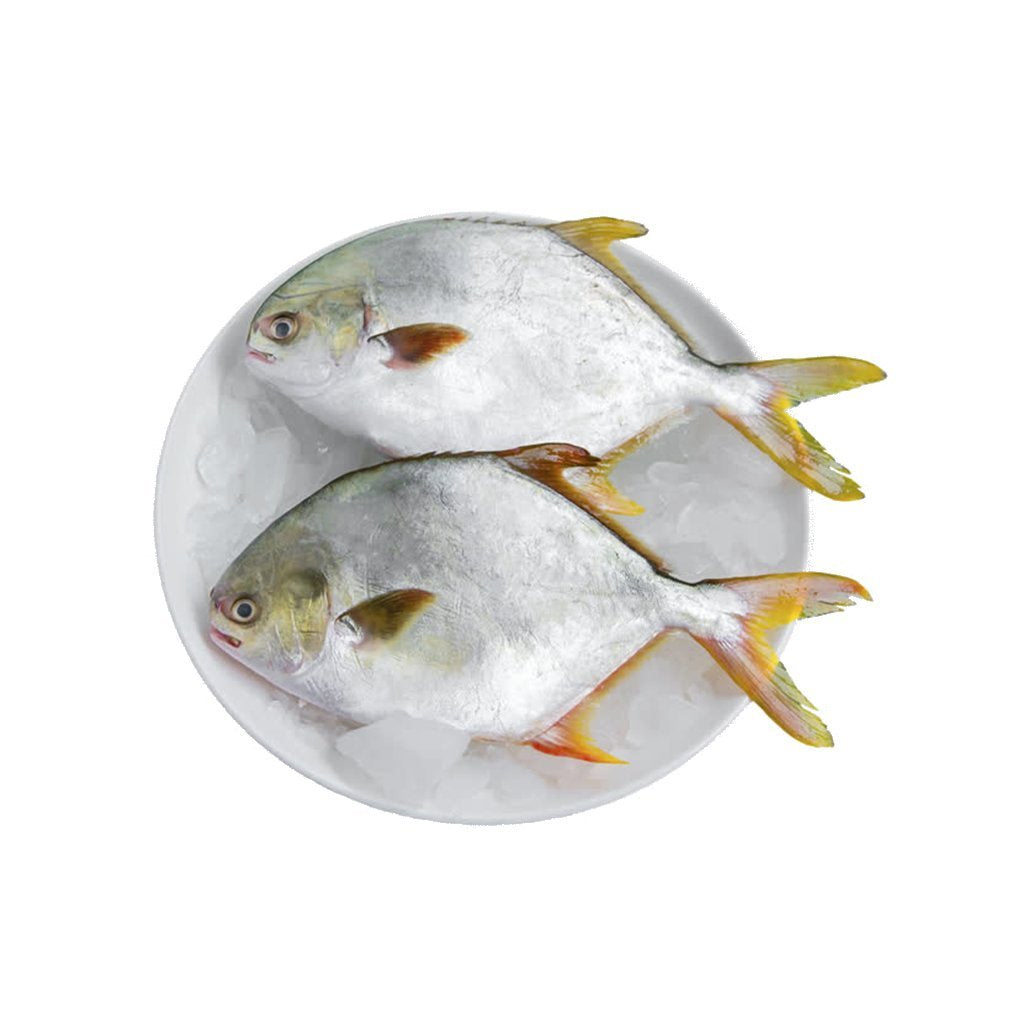 Pomfret